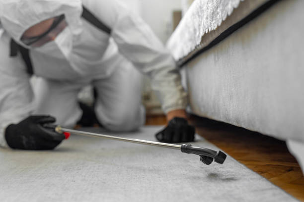 Professional Mosquito Control technician working in Westlake Village, CA