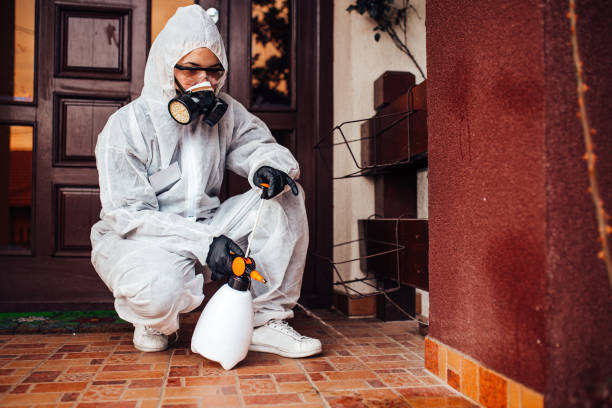 Reliable Mosquito Control contractor in Westlake Village, CA by Nex Pest Control
