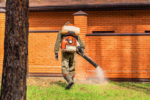 Trusted Cockroach Control service in Westlake Village, CA - Nex Pest Control
